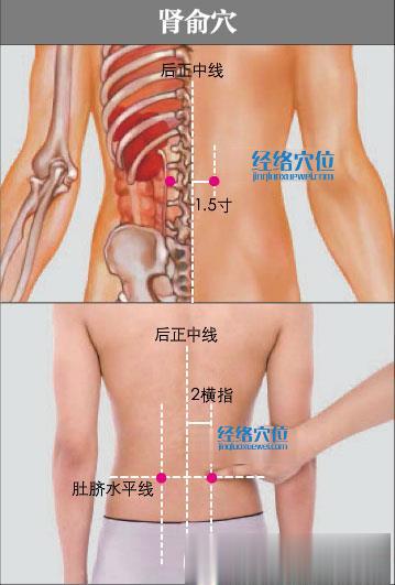 肾俞穴的准确位置图