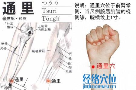 通里穴位位置图