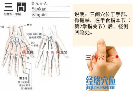 (原创)人体穴位一胳膊手部(59)三间穴