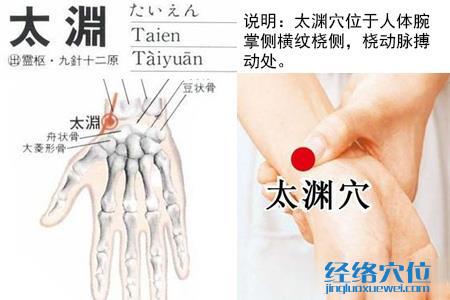 太渊穴位位置图