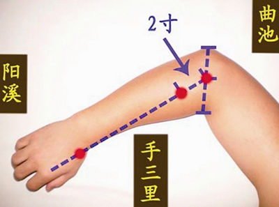 曲池穴、手三里穴的位置图