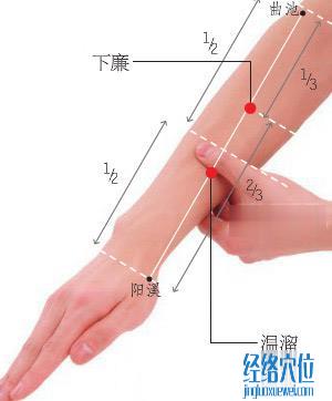 图解下廉穴的准确位置