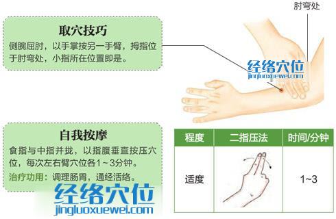 高清图解下廉穴的准确位置图