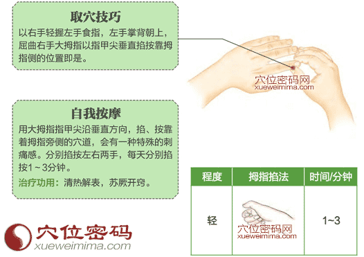 商阳穴