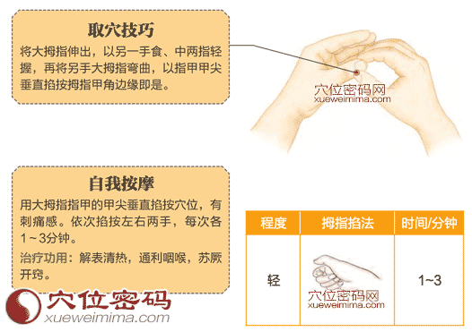 图解少商穴