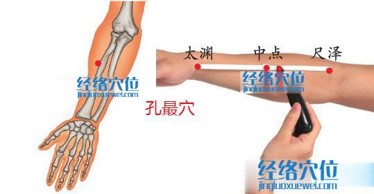 图解孔最穴的位置