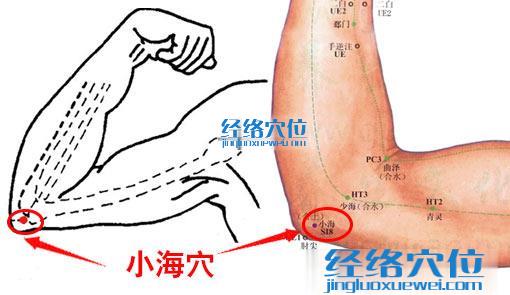 高清图解小海穴的准确位置图