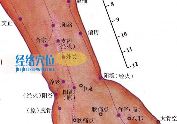 外关穴的位置图