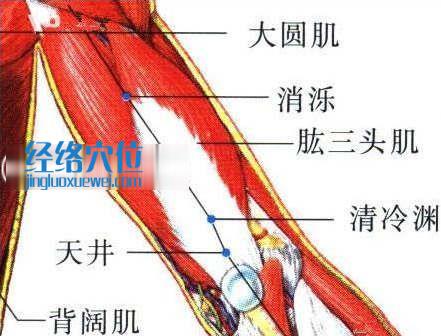 消泺穴的位置图