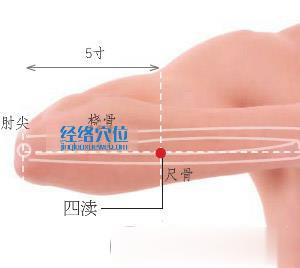 四渎穴位位置图