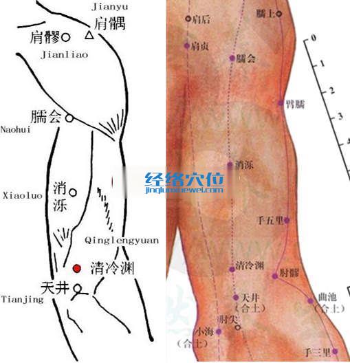 清冷渊穴的位置图