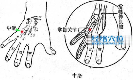 中渚穴的准确位置图