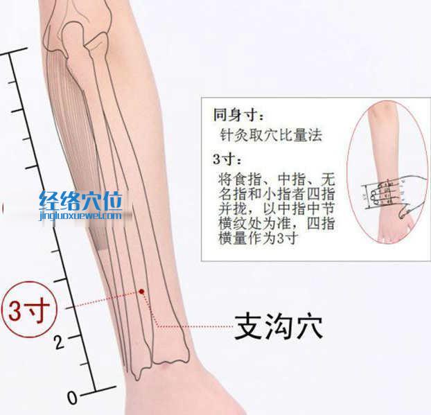 支沟穴的准确位置图及取穴方法示范图片