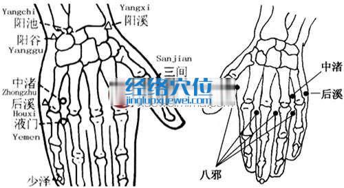 中渚穴的准确位置图