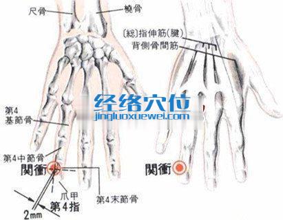 关冲穴的位置解剖分析图