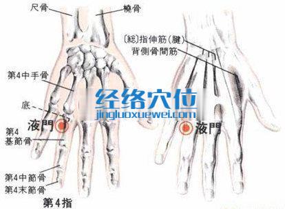 液门穴的位置解剖分析