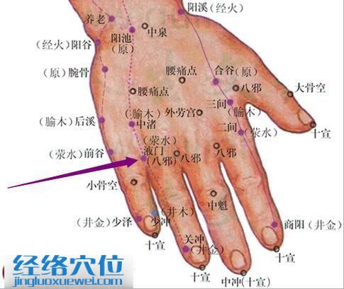 液门穴的位置图