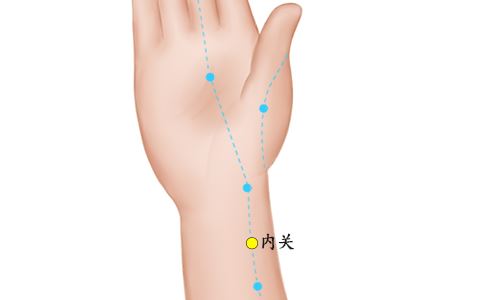 内关穴位的准确位置图 内关穴位的准确位置 内关穴准确位置图