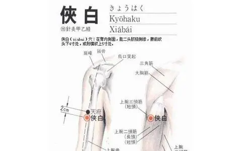 侠白准确位置图视频和功效位位置图