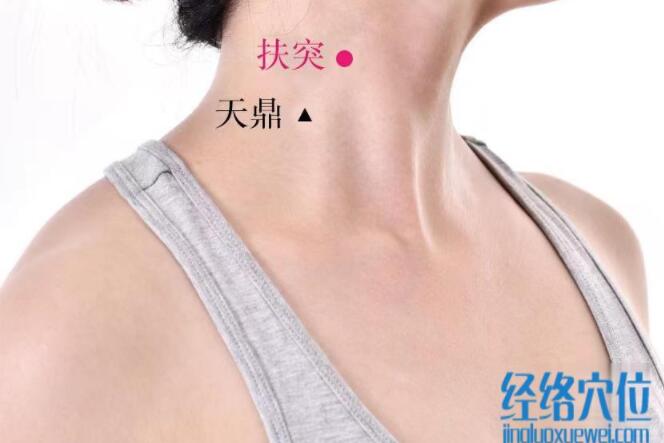 扶突的准确位置图及功效视频