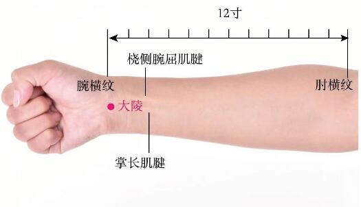 大陵的准确位置图及功效视频位位置图