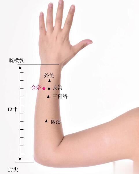 会宗的准确位置图及功效视频
