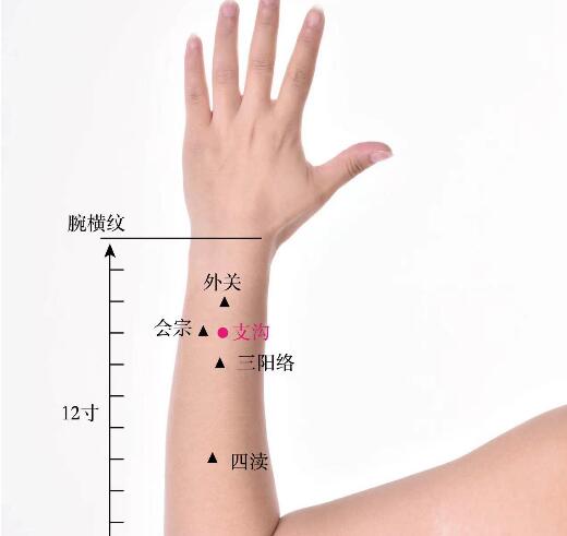 支沟的准确位置图及功效视频位位置图