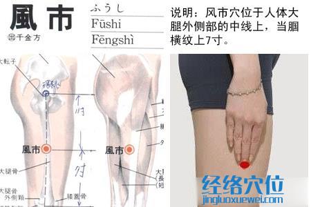 风市穴的位置图