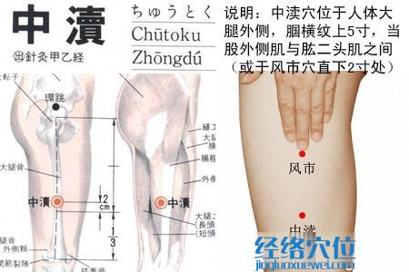 中渎穴位位置图