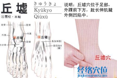 丘墟穴的位置图