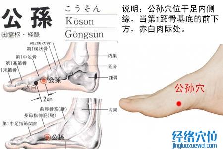 公孙穴位位置图