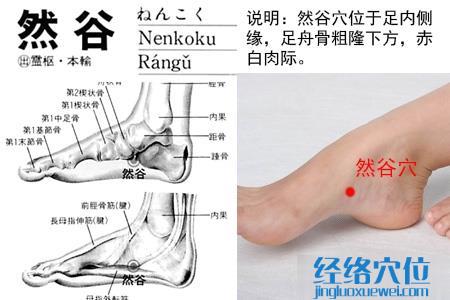 然谷穴位位置图