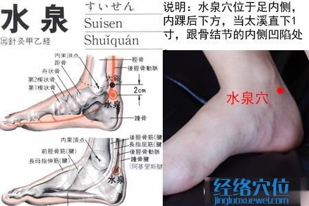 水泉穴位位置图