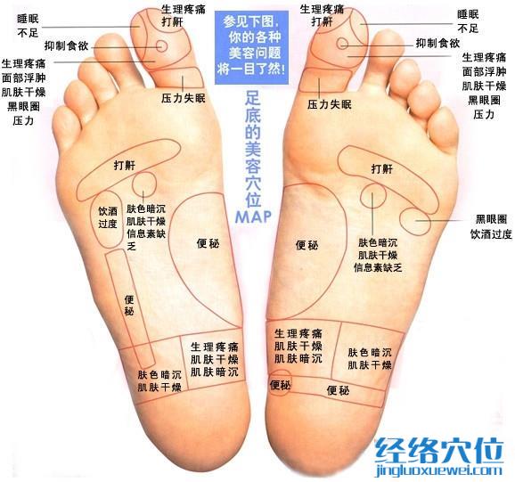 脚底反射区之足底按摩 美容穴位