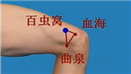 百虫窝穴