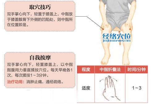 犊鼻穴的准确位置图