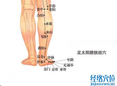 仆参穴的准确位置图