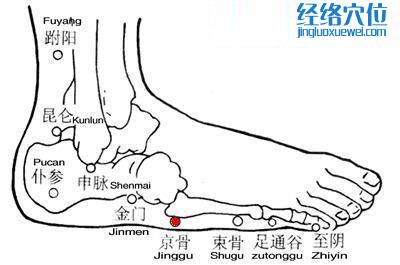 京骨穴的准确位置图