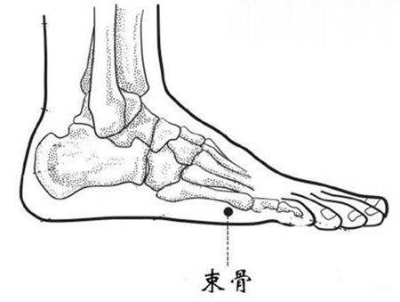 束骨穴的准确位置图