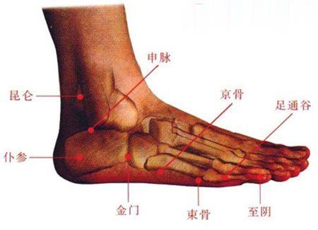 京骨穴、金门穴、束骨穴等穴位