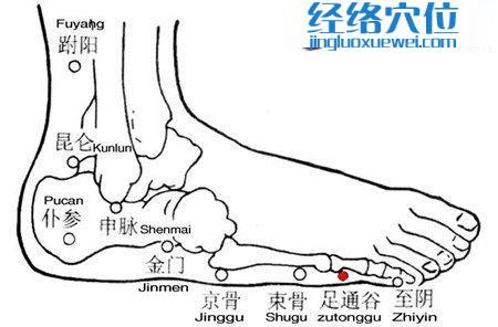 足通谷穴的位置图