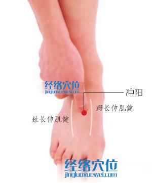 冲阳穴位位置图