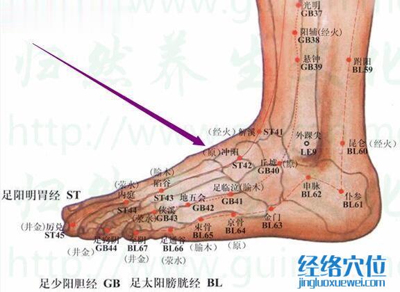 冲阳穴的准确位置图