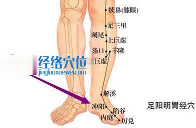 图解冲阳穴位图