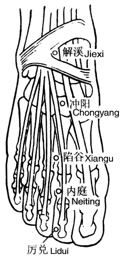 冲阳穴的准确位置图