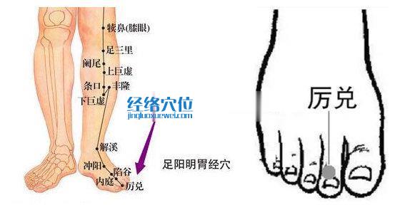 厉兑穴位位置图