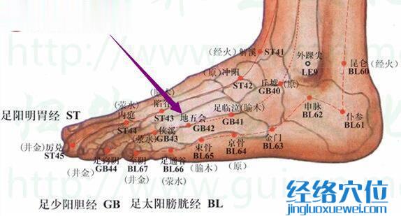 地五会穴的位置图