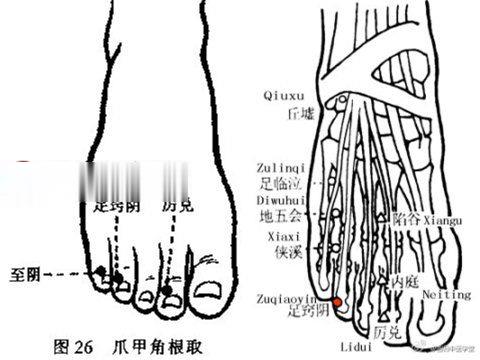 足窍阴穴位位置图