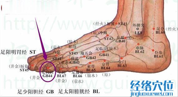 足窍阴穴位图