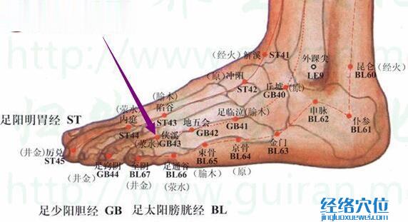 侠溪穴的位置图